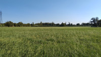 Foin de Crau AOP premi�re coupe